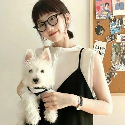 对不起,我磕到你了 海报