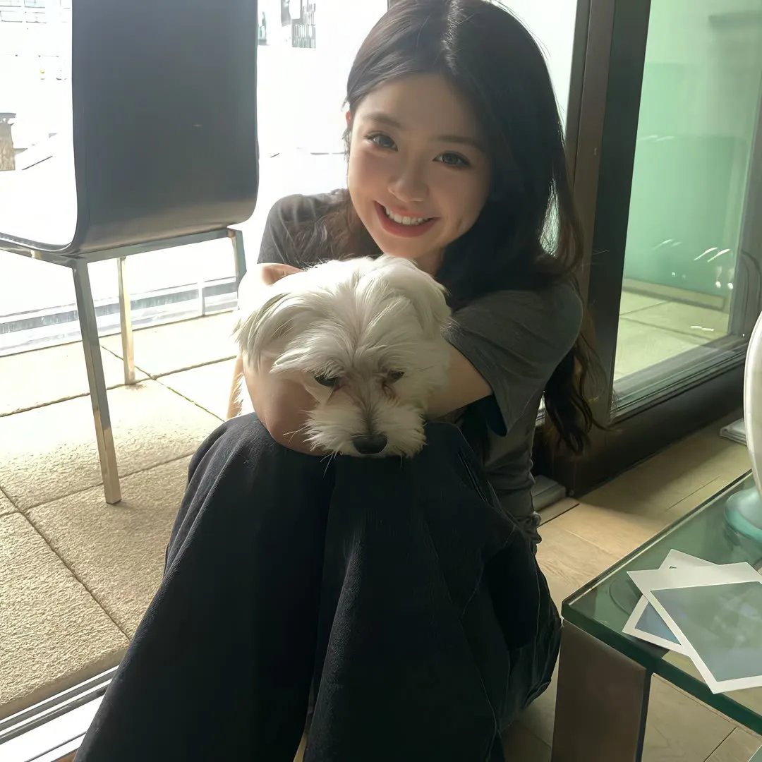 小森林 冬春篇 海报